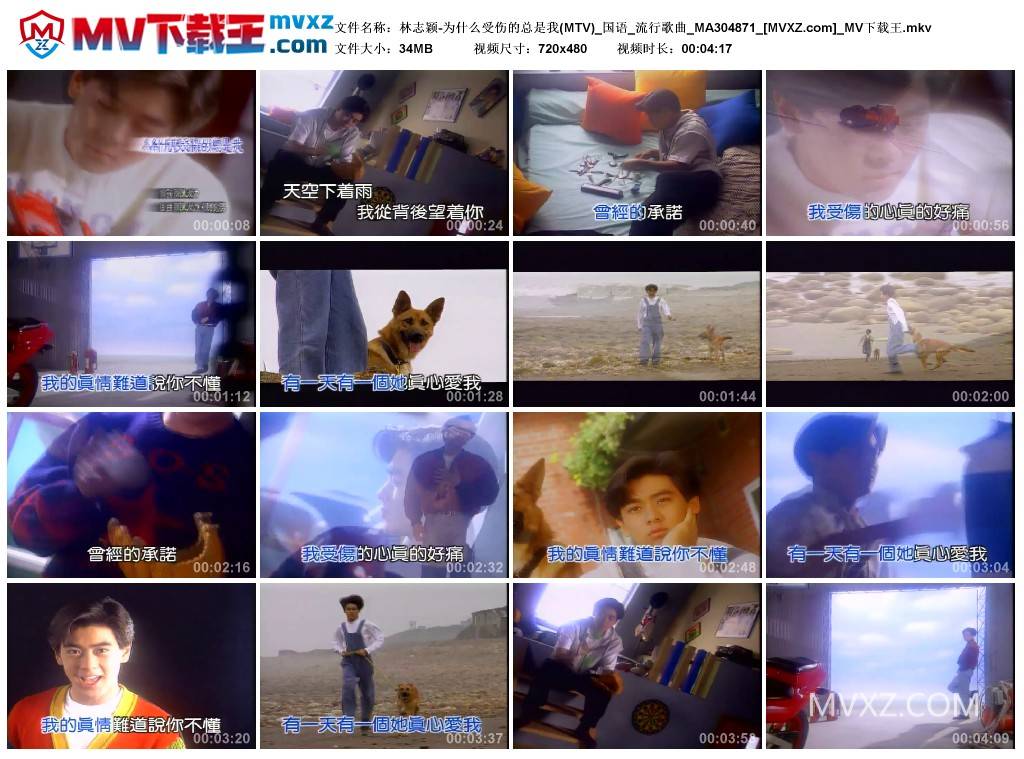 林志颖-为什么受伤的总是我(MTV)_国语_流行歌曲_MA304871